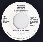 Desert Rose Band - In Another Lifetime (Edited Version)