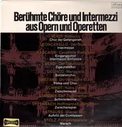 Deutsche Oper, Wiener Volksoper & -Staatsoper - Berühmte Chöre und Intermezzi aus Opern und Operetten