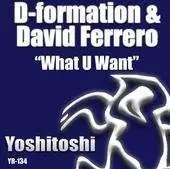 D-Formation & David Ferrero - What You Want