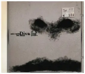 Diva Int. - Sold Down The River