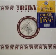 12'' - DJ Pierre - Muzik Set You Free