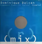 Dominique Dalcan - Comment Faut-Il Faire?