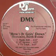Dmx - How's It Goin Down