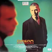 12'' - D:Ream - Unforgiven