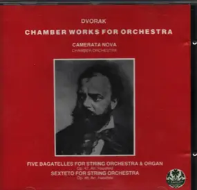 Antonin Dvorak - Chamber Works for Orchestra