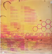 Echoes Of Sound - Need Somebody (Who Needs Me) (Vinyl 1)