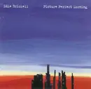 CD - Edie Brickell - Picture Perfect Morning