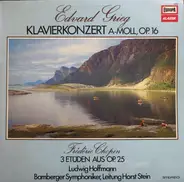 Edvard Grieg , Frédéric Chopin - Ludwig Hoffmann , Bamberger Symphoniker , Horst Stein - Klavierkonzert A-Moll, Op. 16 / 3 Etüden Aus Op. 25