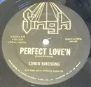 12inch Vinyl Single - Edwin Birdsong - Perfect Love'n - Still sealed