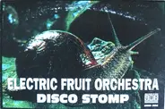 Electric Fruit Orchestra - Disco Stomp