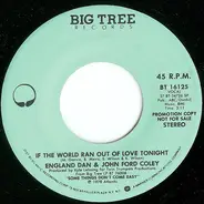 England Dan & John Ford Coley - If The World Ran Out Of Love Tonight