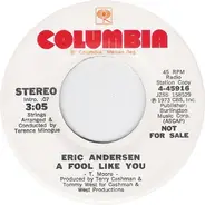 Eric Andersen - A Fool Like You