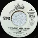 7inch Vinyl Single - Exile - I Could Get Used To You