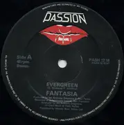 12inch Vinyl Single - Fantasia - Evergreen