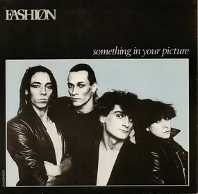 The Fashion - Something In Your Picture