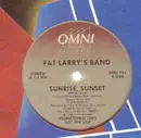 12inch Vinyl Single - Fat Larry's Band - Sunrise, Sunset - Promo