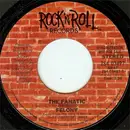 7inch Vinyl Single - Felony - The Fanatic