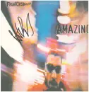 12inch Vinyl Single - Flightcrank - Amazing - Signed