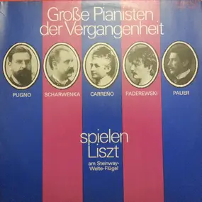 Liszt Ferenc - Grosse Pianisten der Vergangenheit