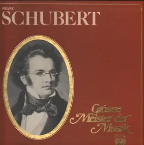 Franz Schubert - Große Meister Der Musik