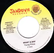 Frisco Kid / Young Prince - Run Down Things / What A Day