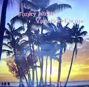 12inch Vinyl Single - Funky Ninja - Vacation Escape