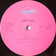 12inch Vinyl Single - Gary Low - I Want You - + Obi