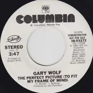 Gary Wolf - The Perfect Picture (To Fit My My Frame Of Mind)