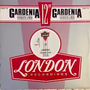 Gardenia - Chiquita Linda