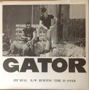 Gator - Pit Bull / Hurting Time Is Over
