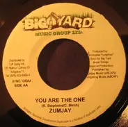 General Degree , Zumjay - Good Feelings / You Are The One