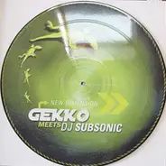 Gekko Meets DJ Subsonic - New Dimension