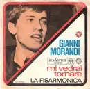 7inch Vinyl Single - Gianni Morandi - Mi Vedrai Tornare