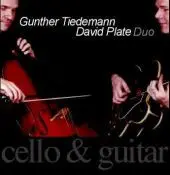 David Plate - cello & guitar