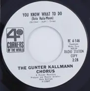 Günter Kallmann Chor - Tammy / You Know What To Do (Rota Hula-Moon)
