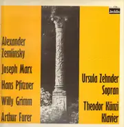 Hans Pfitzner, Willy Grimm, Arthur Furer a.o. - Zwei Lieder aus op.40, Sechs lyrische Miniaturen a.o.