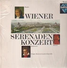 Franz Joseph Haydn - Wiener Serenadenkonzert