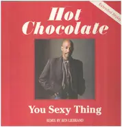 Hot Chocolate / Milli Vanilli / Barry White / Stevie Woods a. o. - You Sexy Thing