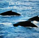 LP - Humpback Whale - Die Gesänge Der Buckelwale