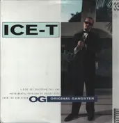 Ice-T