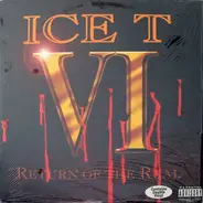 Ice-T - VI: Return of the Real