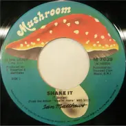 Iain Matthews - Shake It