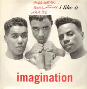 12inch Vinyl Single - Imagination - I Like It