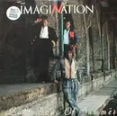 12'' - Imagination - Last Days Of Summer