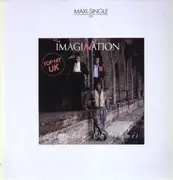 12'' - Imagination - Last Days Of Summer