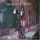 12inch Vinyl Single - Imagination - Last Days Of Summer