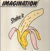 LP - Imagination - Shake It