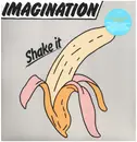 Double LP - Imagination - Shake It