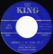 James Brown & The Famous Flames - America Is My Home
