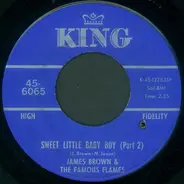 James Brown & The Famous Flames - Sweet Little Baby Boy